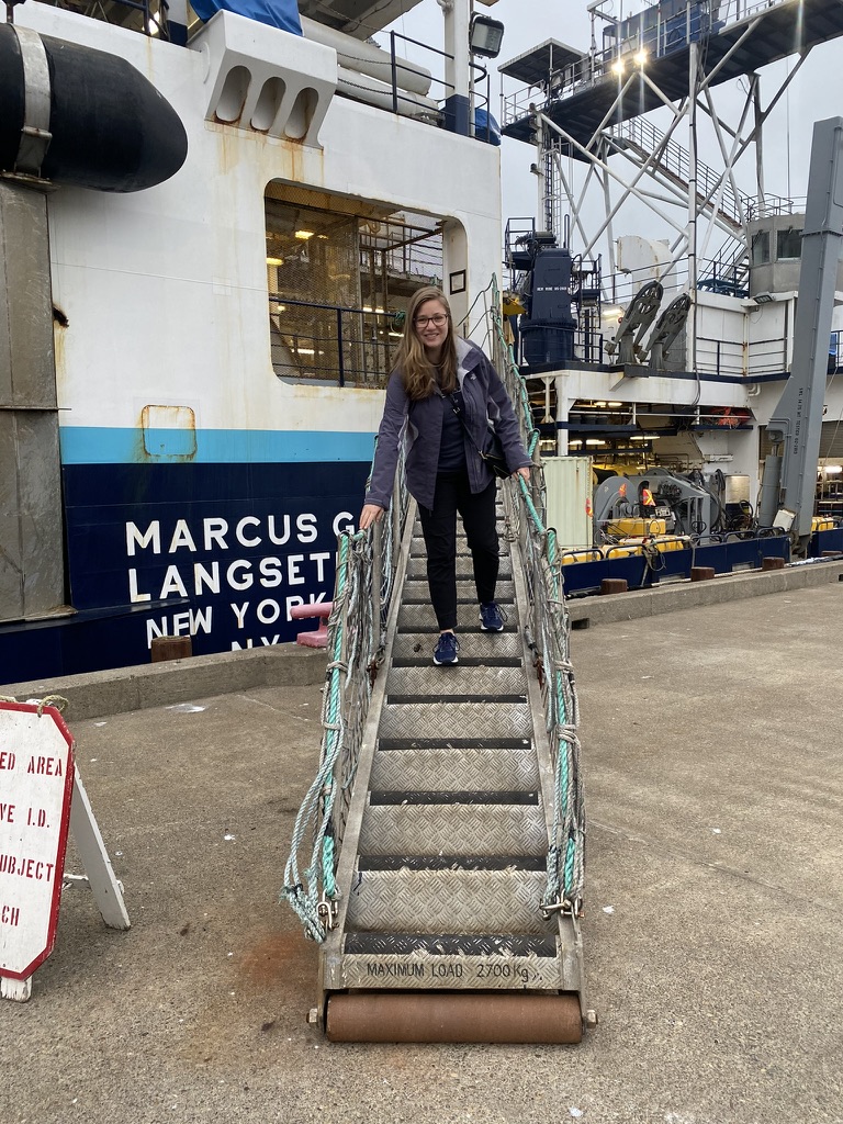Gentoo Penguin waving, Livingston Island, Antarctica. Feb. 11, 2020